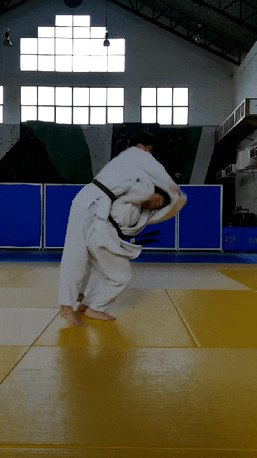 judo-3.gif?w=372